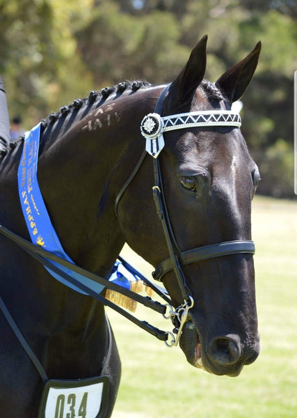 Black & Silver Mirror Sharkstooth Browband