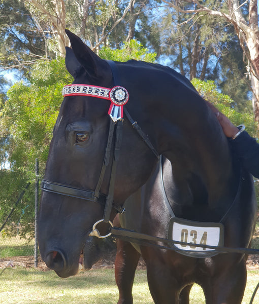 Red & Black Elegance Browband